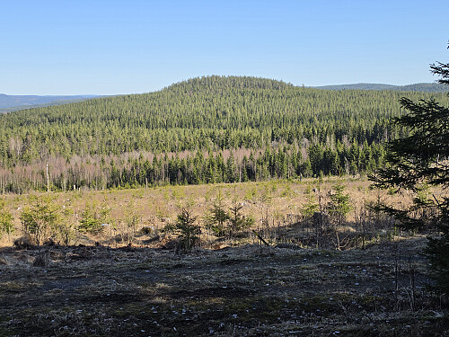 På veg ned fra Torpberget, mor Eriksberget