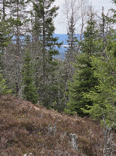 Såvidt litt sjøblikk fra Rönnkullen