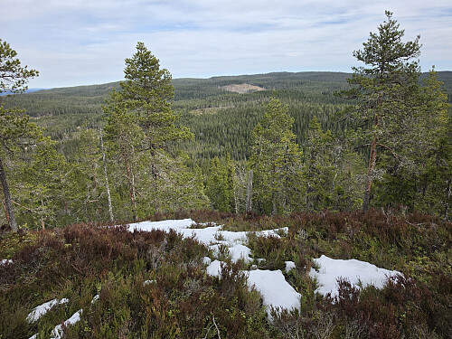 Hovfjället fra Bengtsfallhöjden