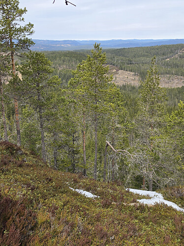 Mot nord fra Bengtsfallhöjden