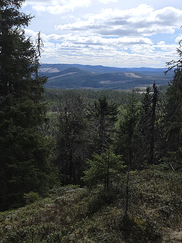 Ei glippe mot sørøst. Gartosofta.