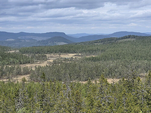 Fra tårnet på Mangslidberget. Mot ferske bekjentskaper:
Soskonmägg, Gartosofta og Ivana i silhuett, med fjernere blåne bak og et nettverk av so'er i framgrunnen.