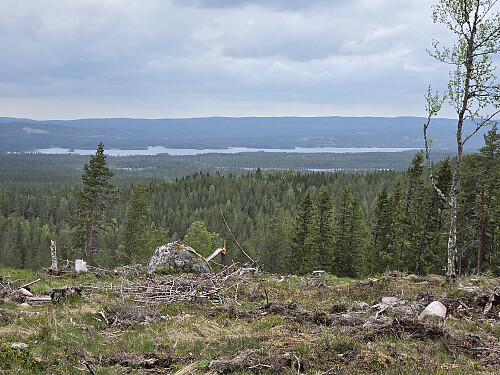 Fra Särkilampberget. 