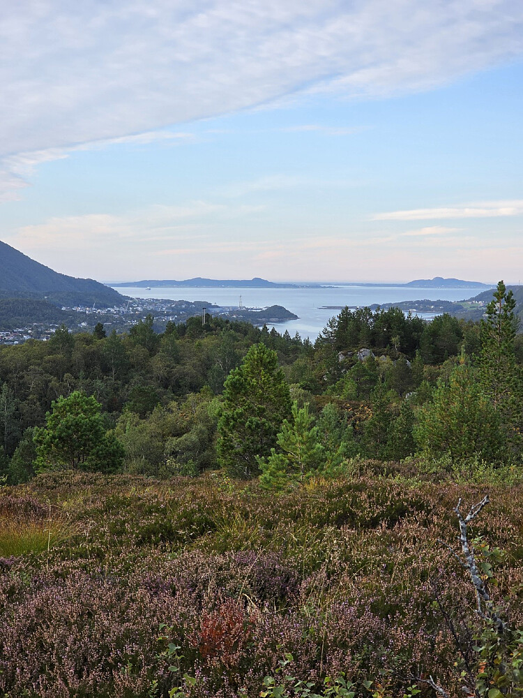 Fra toppen og nordover mot Brattvågen