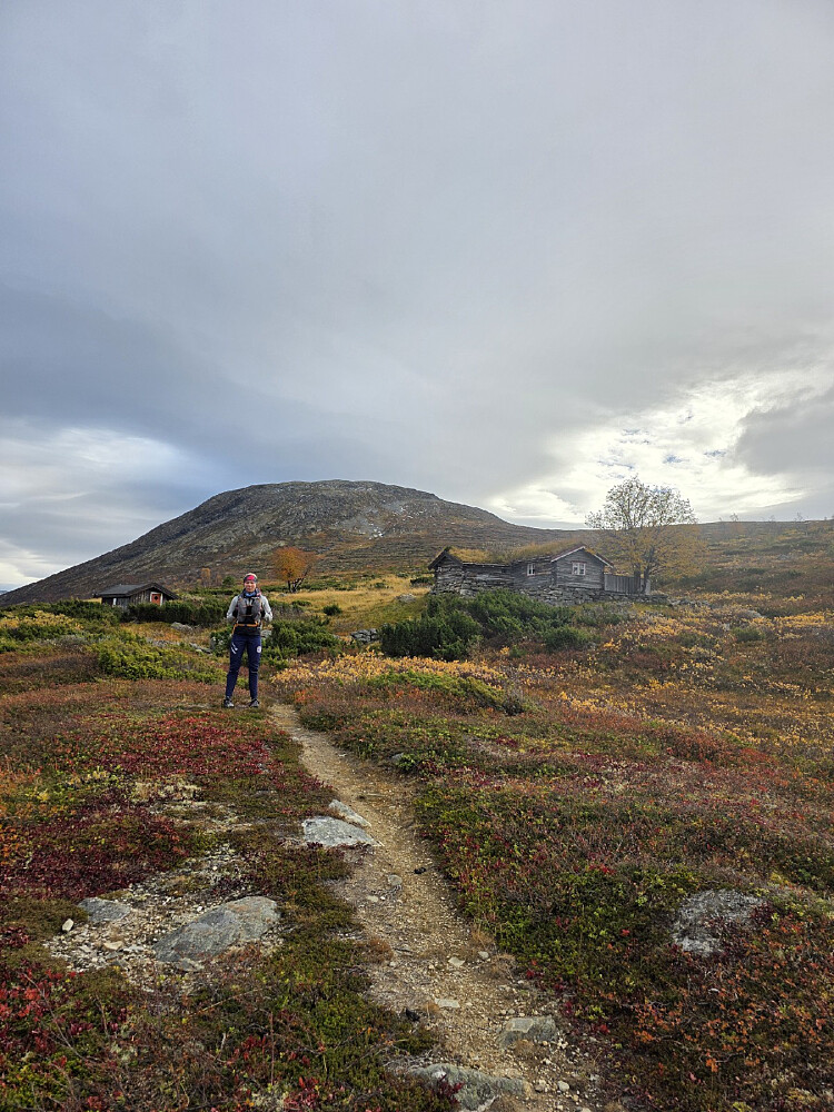 Sofie på Gravåbakksætra