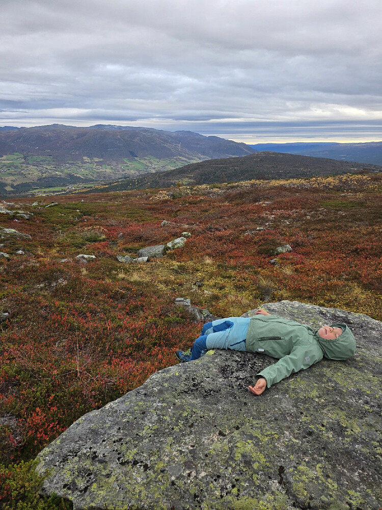 Pause på Lars