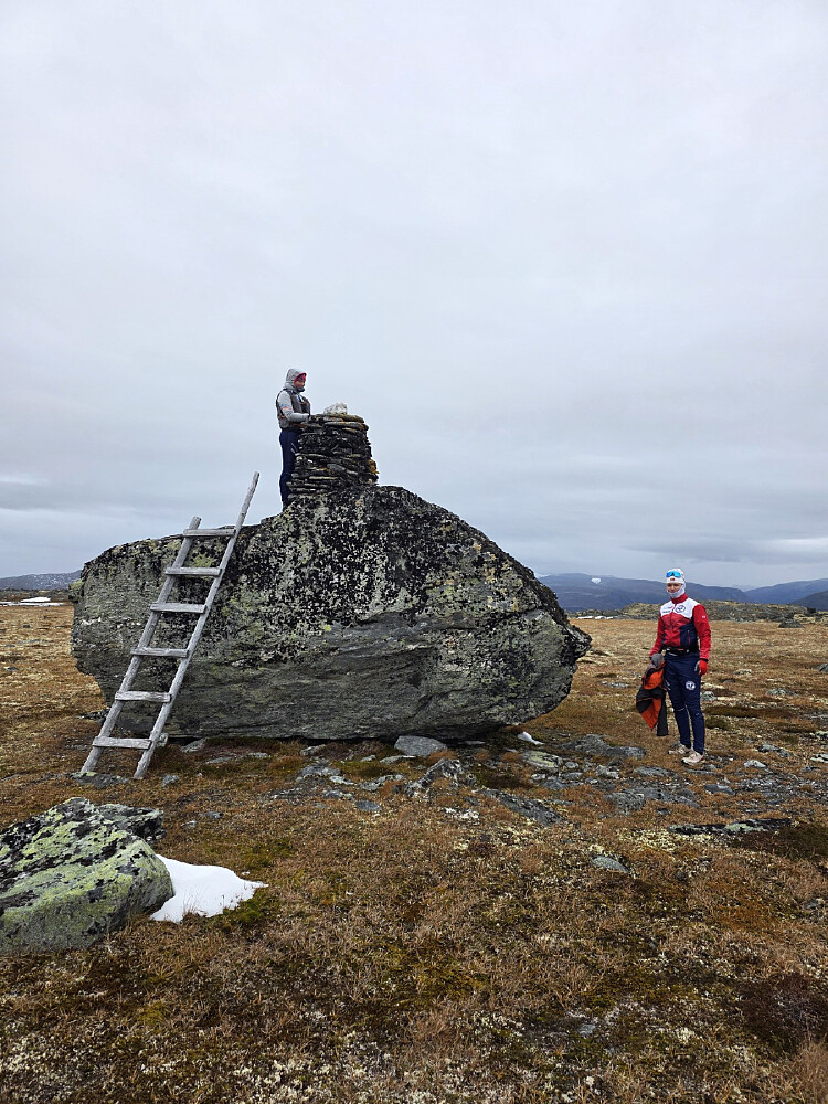 Stor flyttblokk på toppen av Soløyfjellet, og en stige av alle ting her oppe for å komme seg oppå steinen