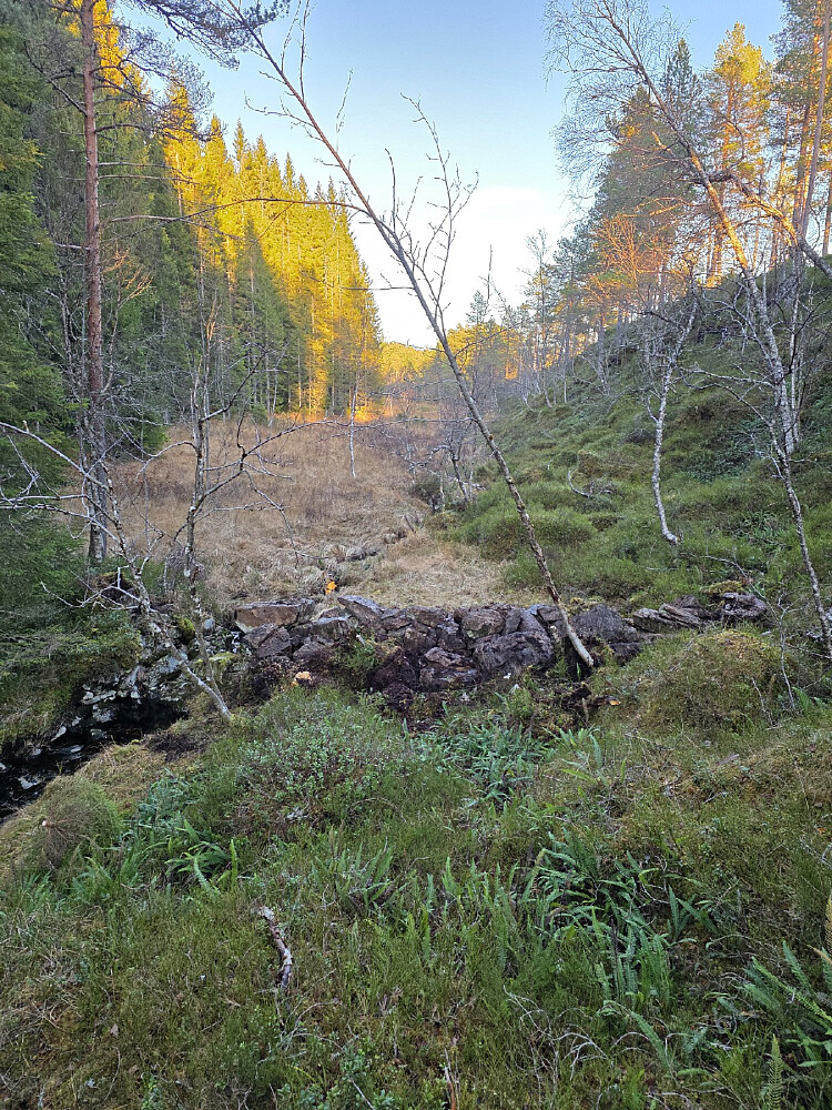 Teppinga sett fra vest, var mye vann som kunne holdes igjen bortover myra her