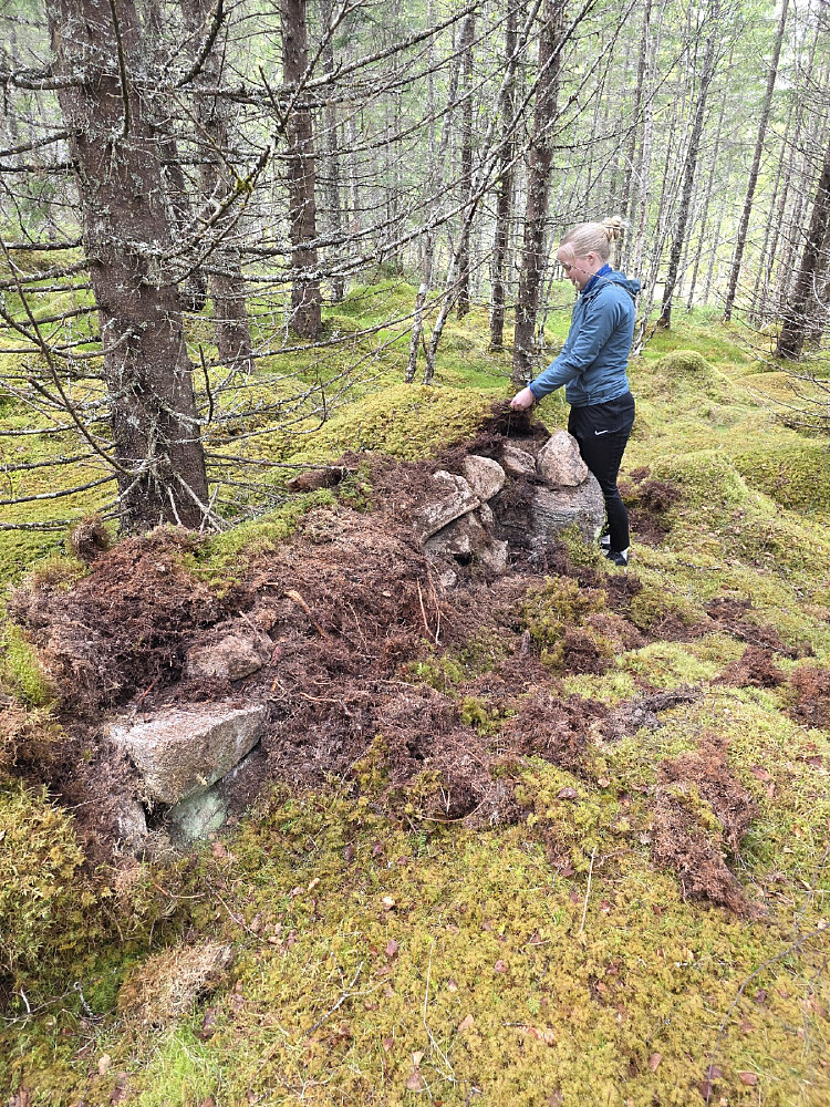 Fant noen gamle murer av Kleivsetra
