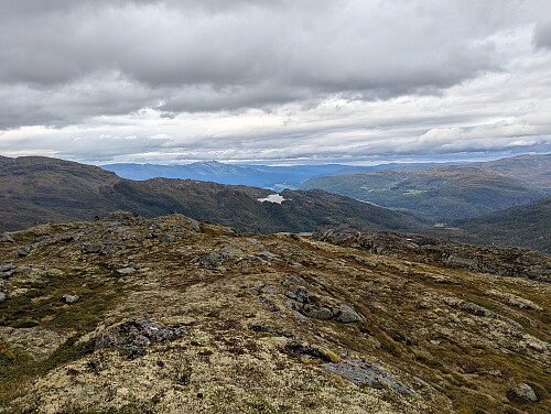 Over tregrensa, utsikt nord mot Langesetvatnet