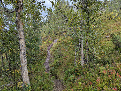 Tydelig sti hele veien. På vei opp til første høydedrag