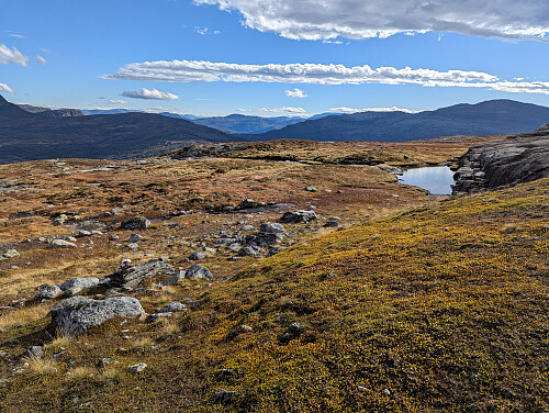 Oppe på 900 moh. Utsikt sørøst mot Kistenuten