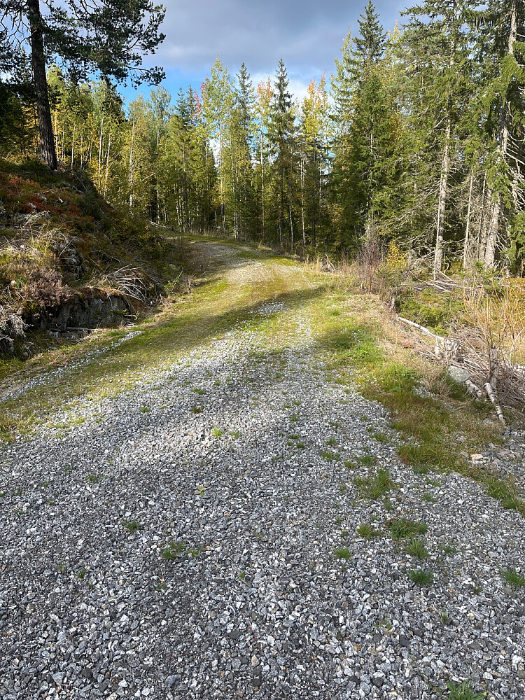 Pukket vei tok etter hvert slutt og gikk over til gammel kjerreveg