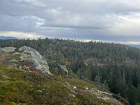 Harex_20250921_68d0477d6dd4d.jpg
