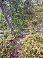 Harex_20250921_68d0477edf001.jpg