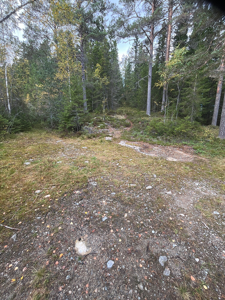 Og så var det slutt på vei og stien fortsatte rett frem og ble snart bratt