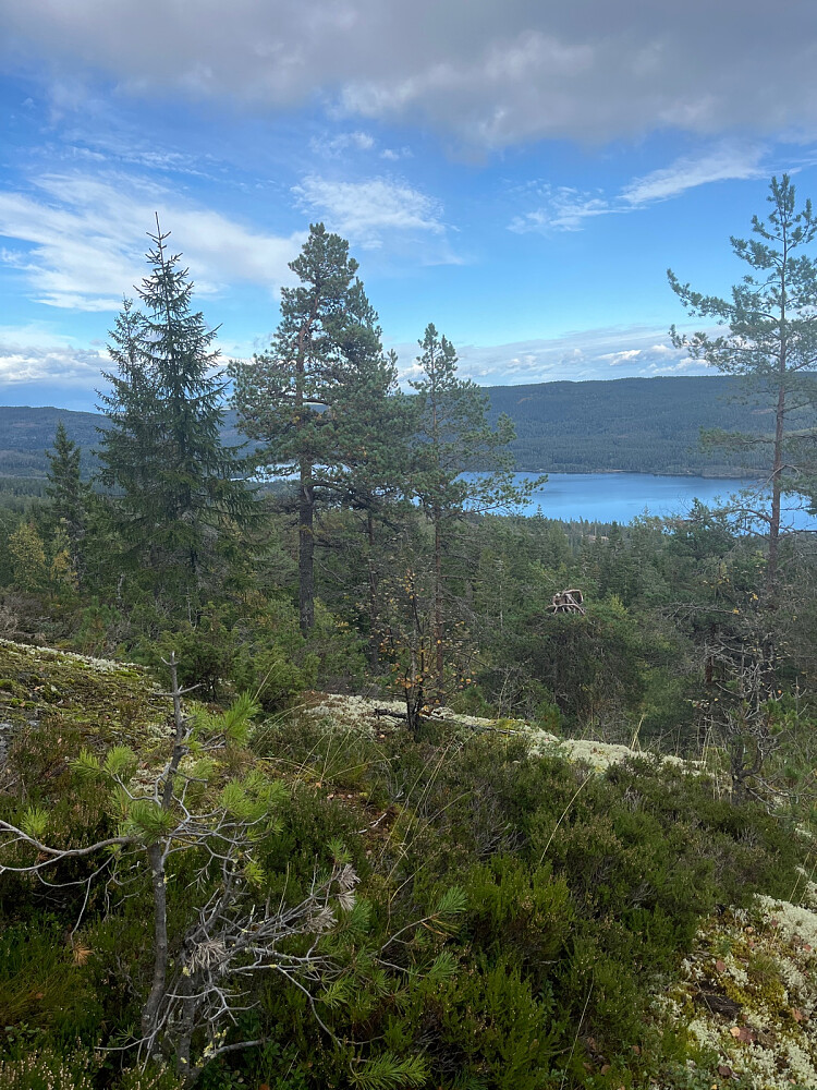 Litt oppi lia fikk jeg god utsikt over Samsjøen