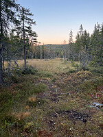 Harex_20250926_68d6cde2dc14d.jpg