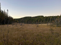 Harex_20250926_68d6cde47b477.jpg