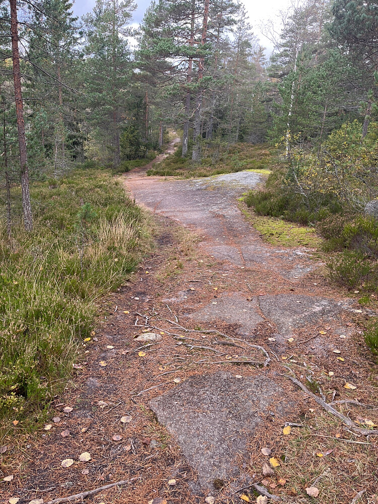 Mye fjell og fin og blåmerket sti