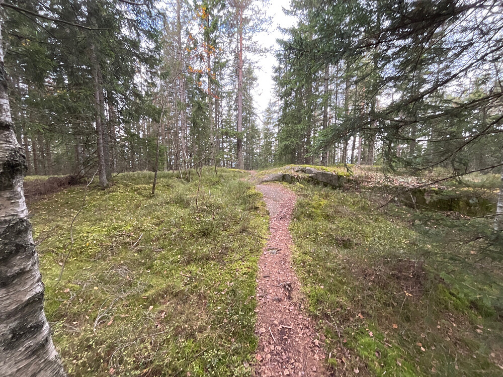 Toppunkt på Brennåsen