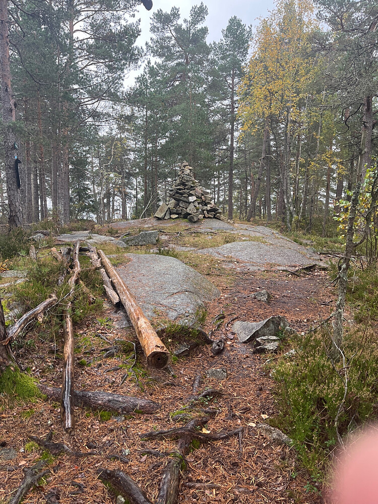 Toppvarden