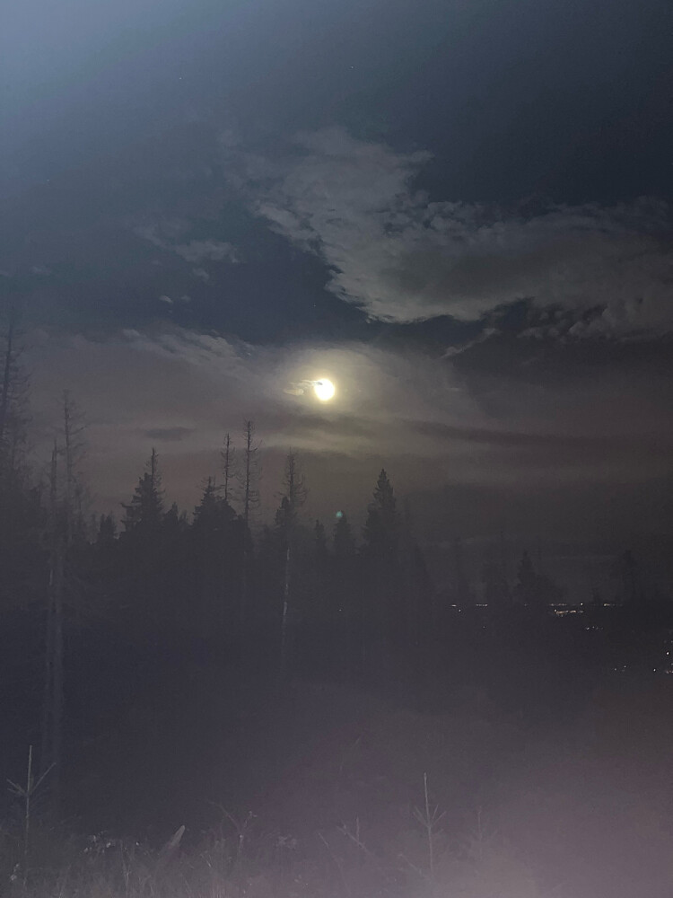 Månen lyste litt også og stille og fin temperatur 8 grader