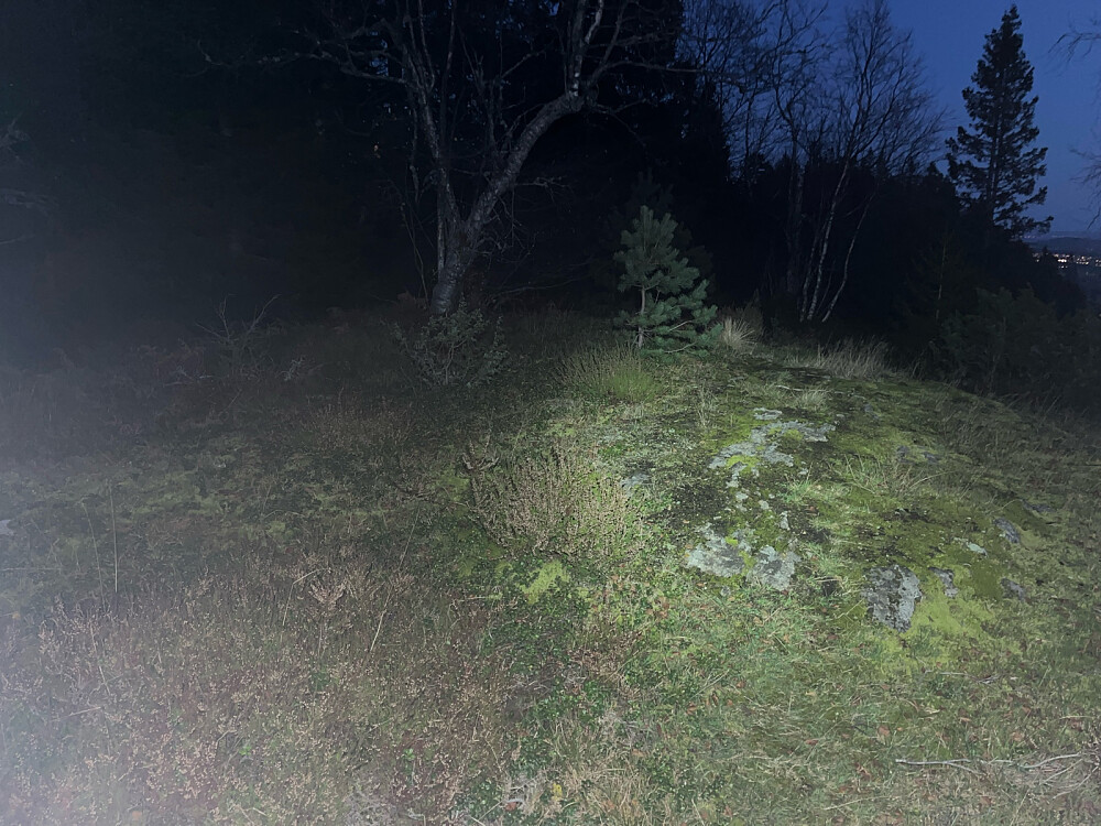 Midtre Storkollen