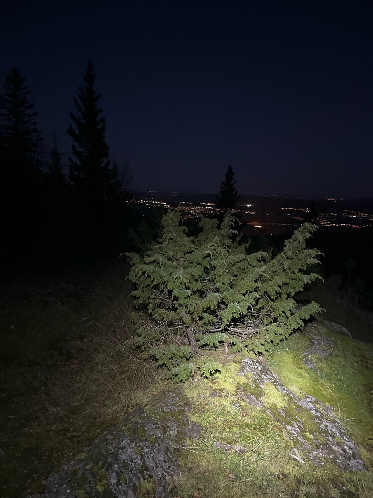 Storkollen