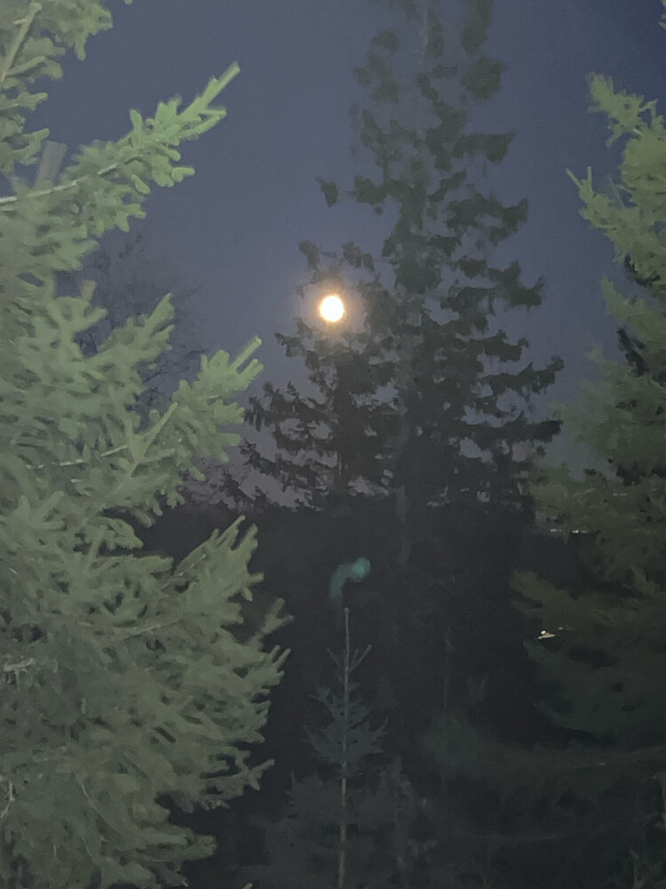 Fra Storkollen