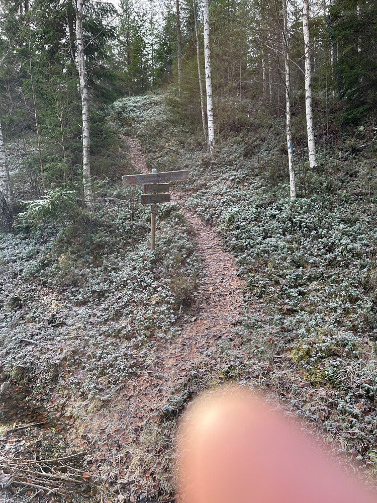 Blåmerket sti hele veien