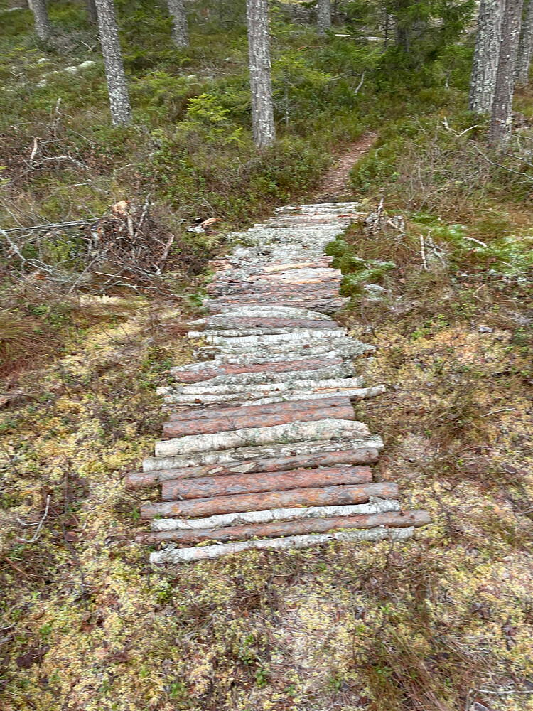 Greit med noen sånne på myrene