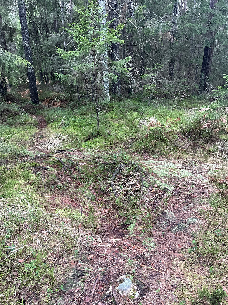 Tok til v her mot toppen