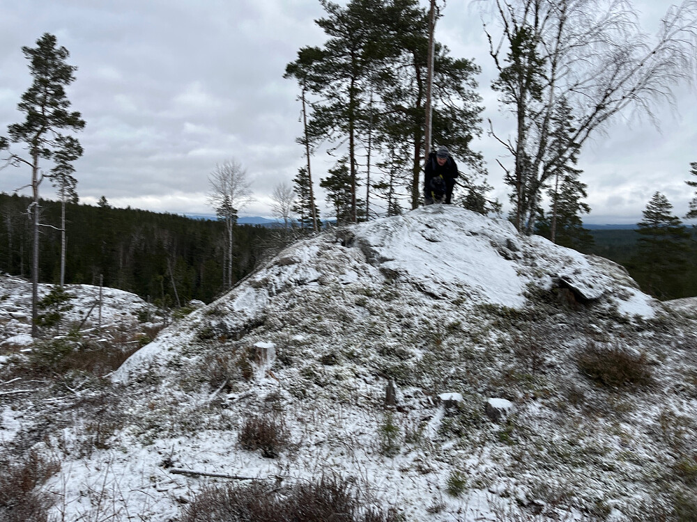 Utkikkspunkt sør for Svarttjennmåsahaugen