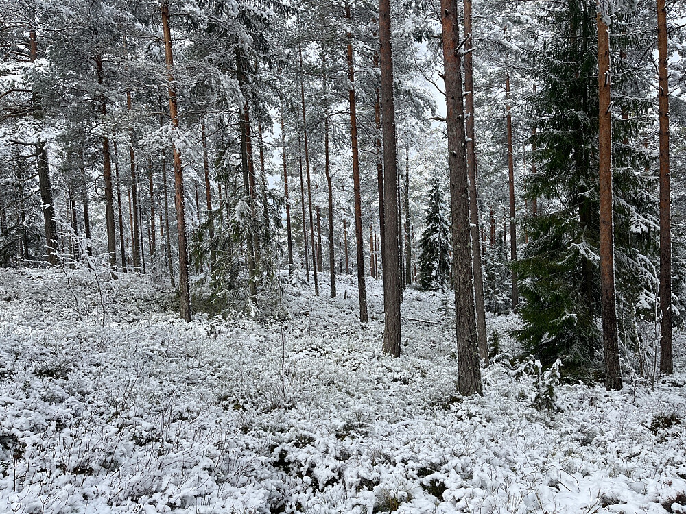 Våren er utsatt litt..