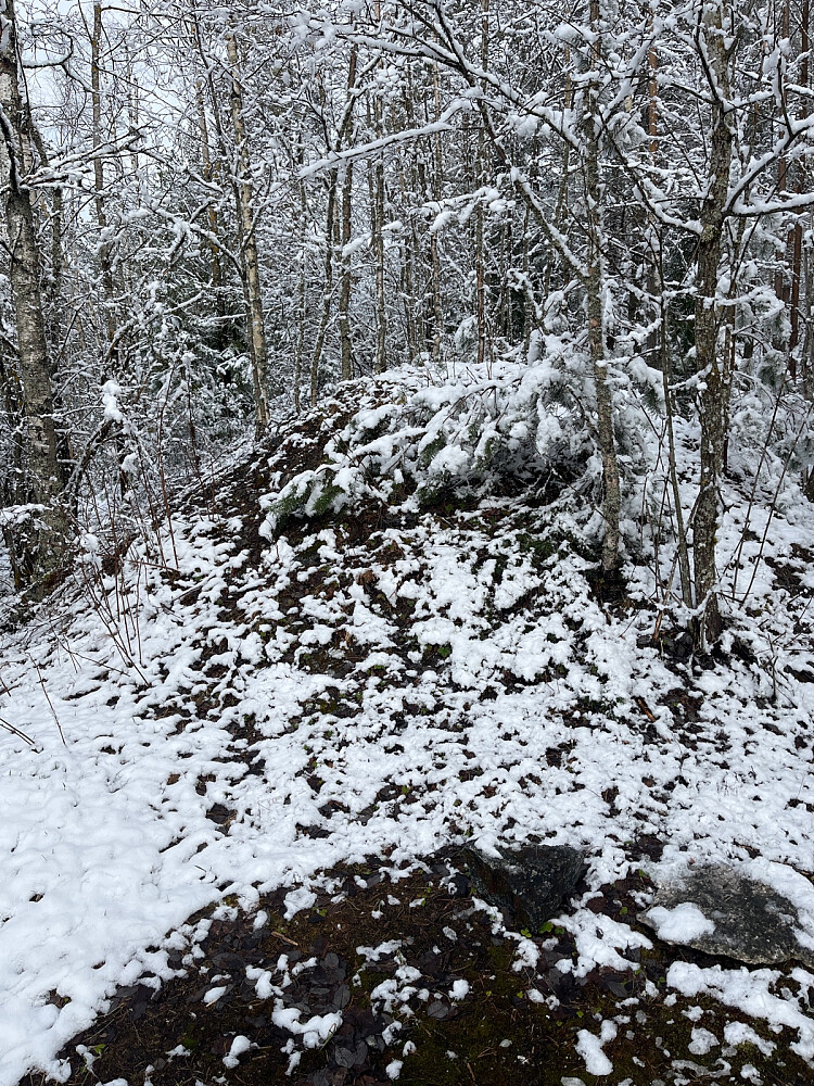 Toppunkt på Bøleråsen