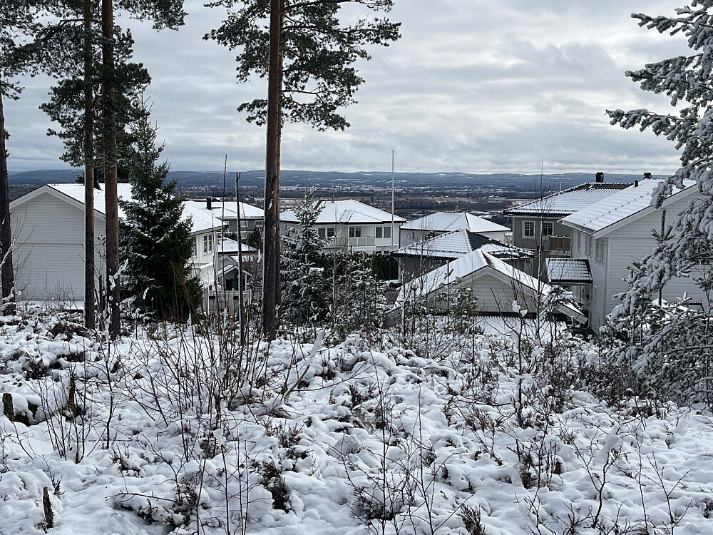 Utsikt sørøst for toppen like innenfor kommunegrensa