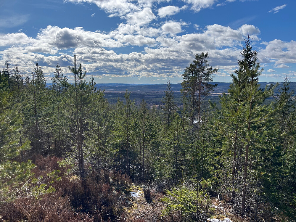 Flott utsikt fra gapahuken/bålplassen