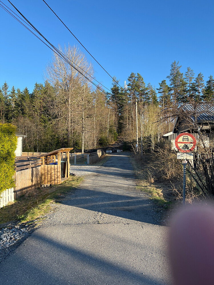 Fra Tårnveien. Tårnet på toppen synes bak trærne.