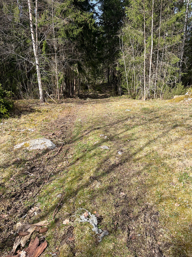 Stistart fra Brauterseter