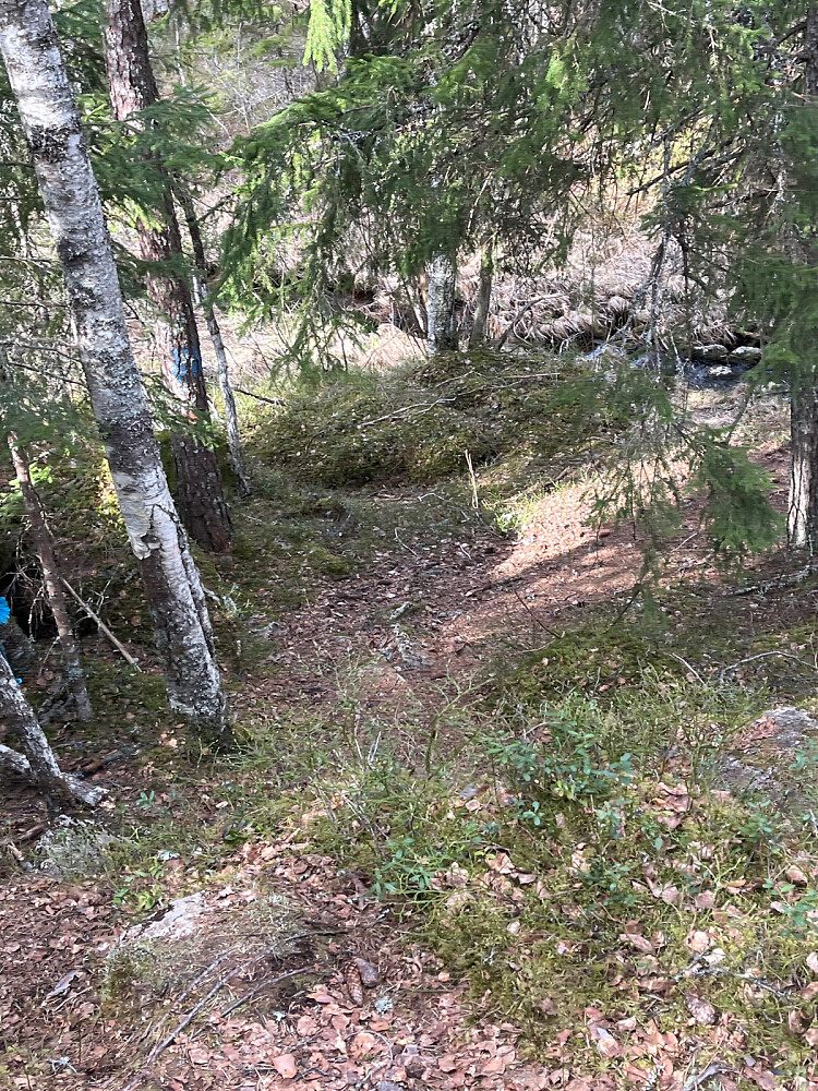 Bratt ned mot ny bekkepassering med vestre jutløp fra Flolangen