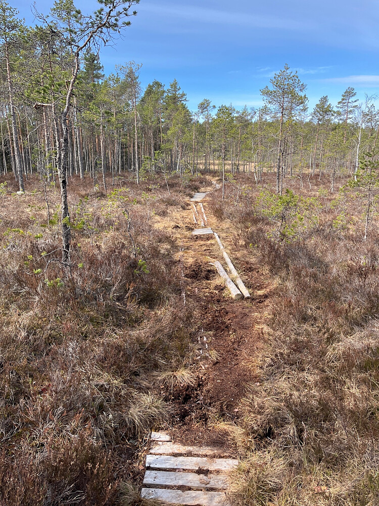 Gamle og nye klopper over myrene mot Tresjøene