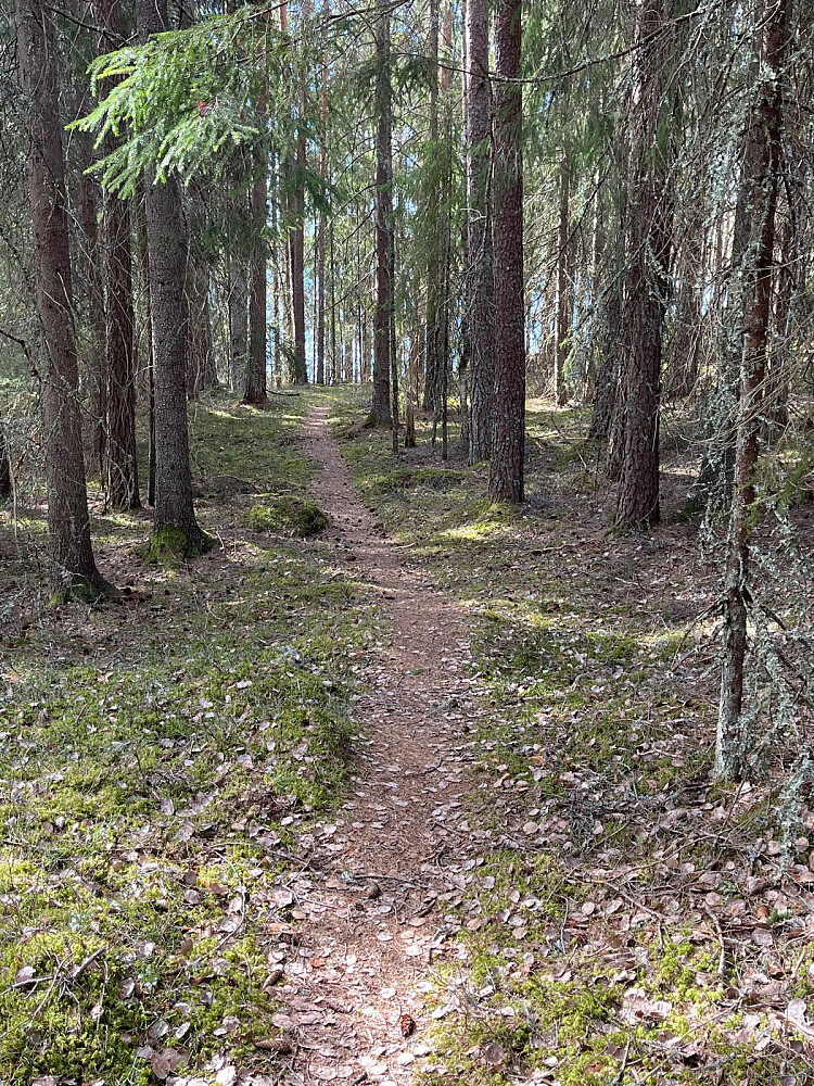 Vakkert og fine stier