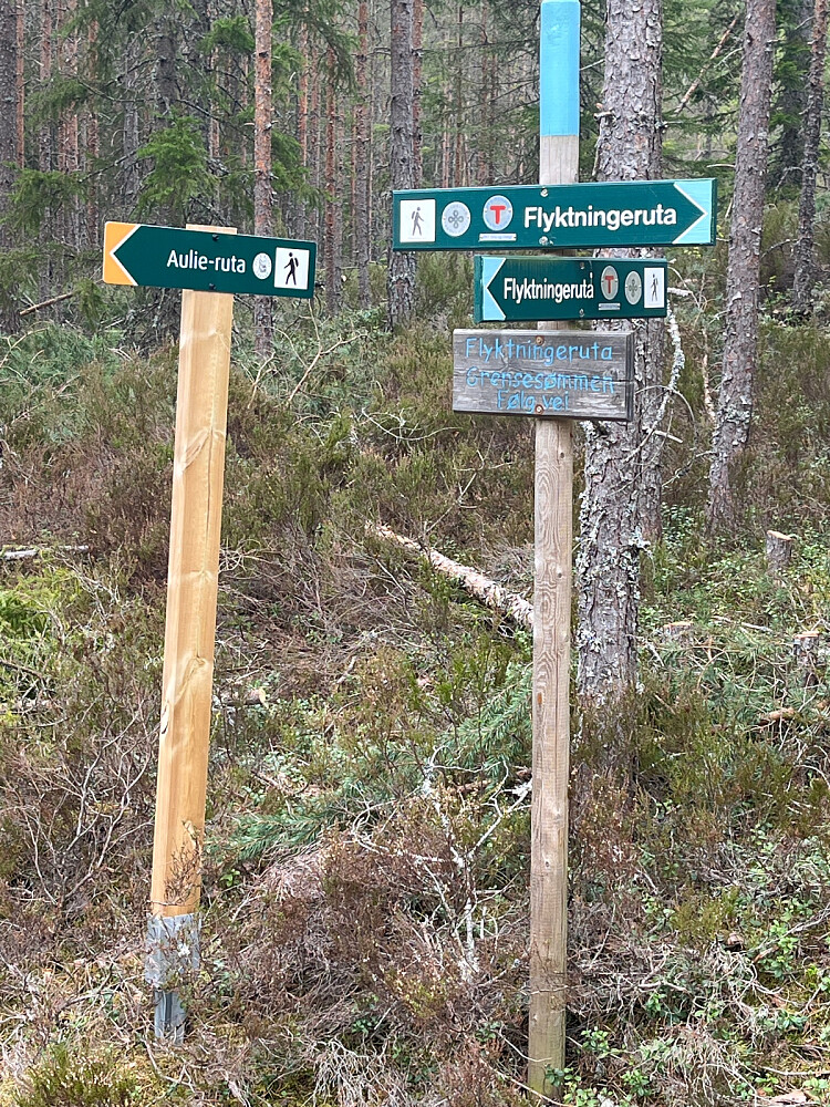 Her svinger vi av fra Sukkerveien og inn på stien over grensa