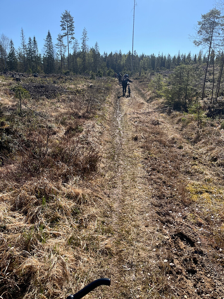 Heldigvis tørt og fint i terrenget i år mellom Sandvika og Grønvika