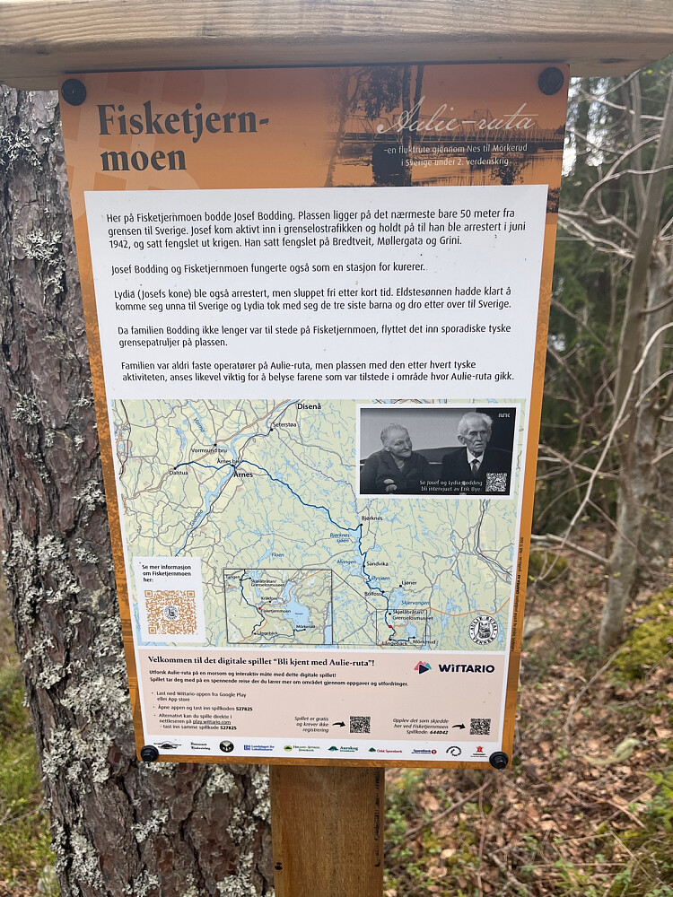 Rett ved svenskegrensa nå