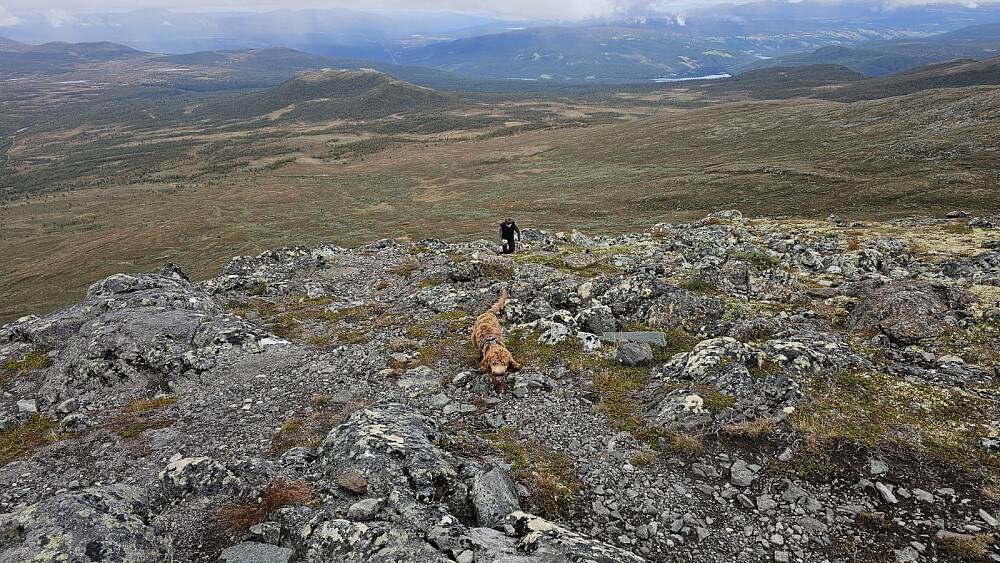 Da er snart alle samlet på toppen