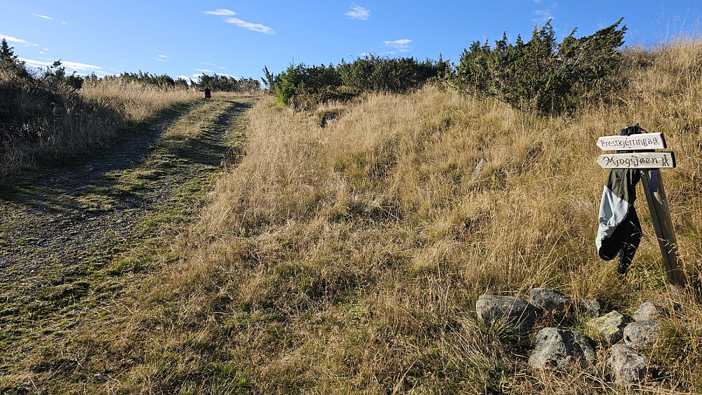 Turstart