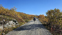 Det blåste kraftig på fjellet, og stedvis føltes det som om vi kunne blåse av veien