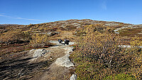 Pause ved Aursjøen